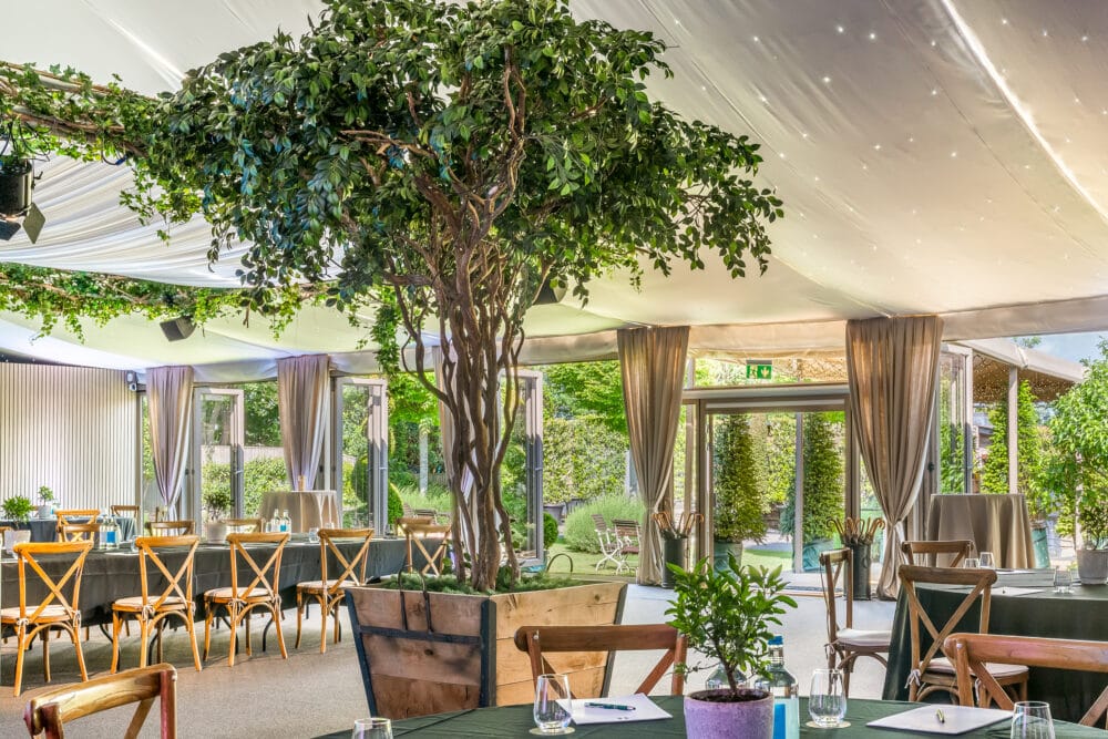 Boutique hotel conference space set up for a meeting and adorned with trees